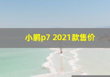 小鹏p7 2021款售价